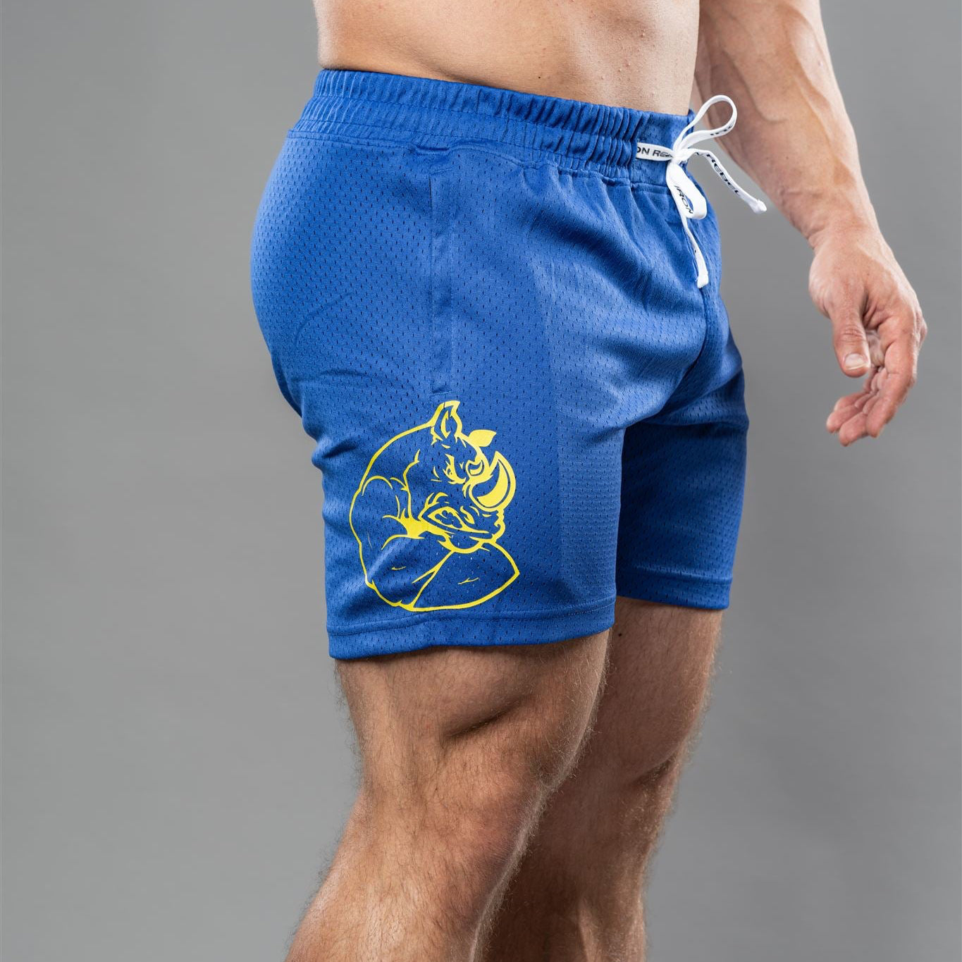 Mesh Shorts (Royal Blue)